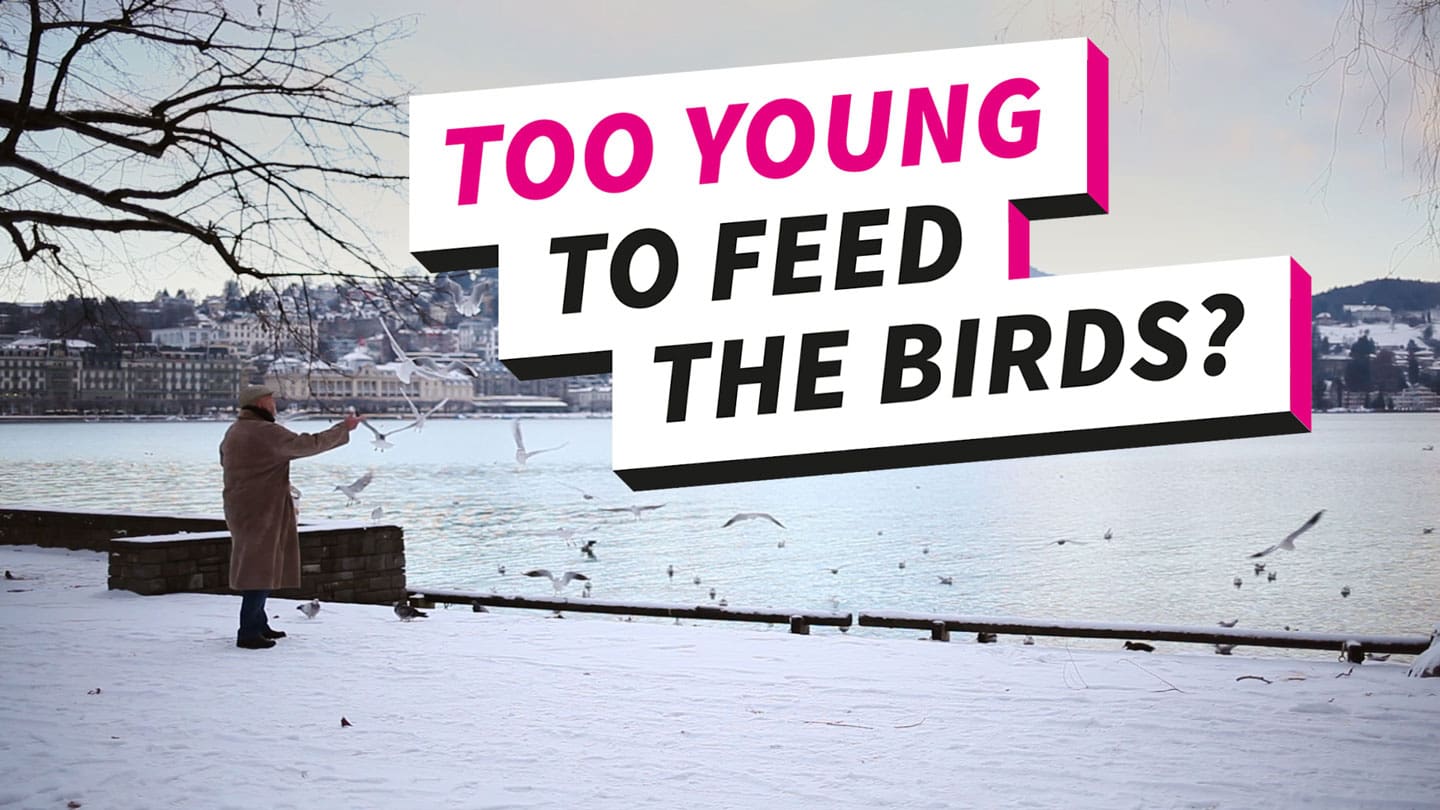 Too young to feed the birds?, Beitragsbild